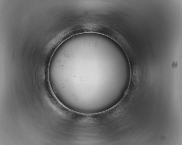 X0000111450734200907131328