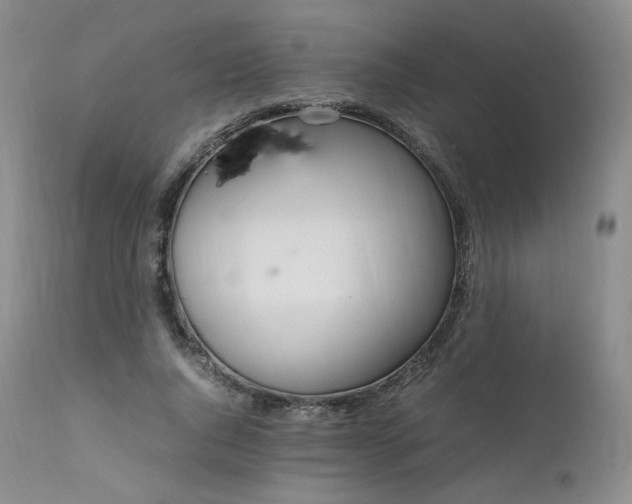 X0000111450736200907131328