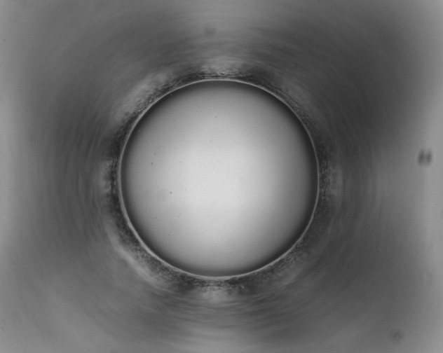 X0000111450738200907131328