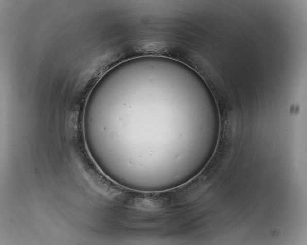 X0000111450739200907131328