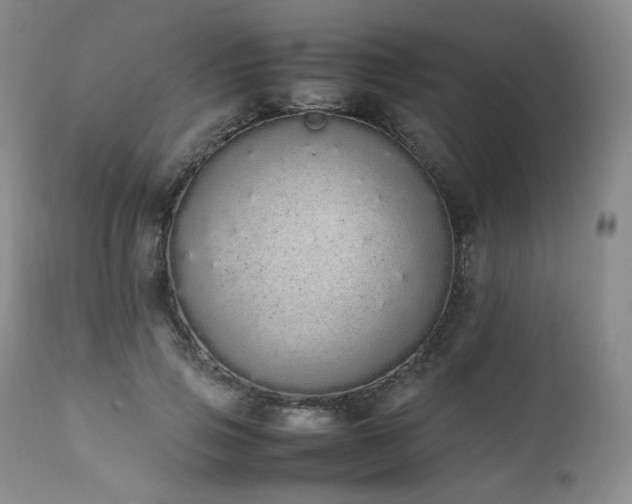 X0000111450741200907131328