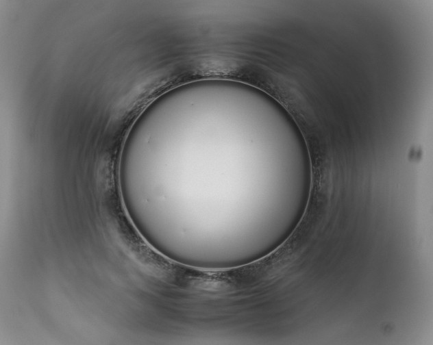 X0000111450743200907131328