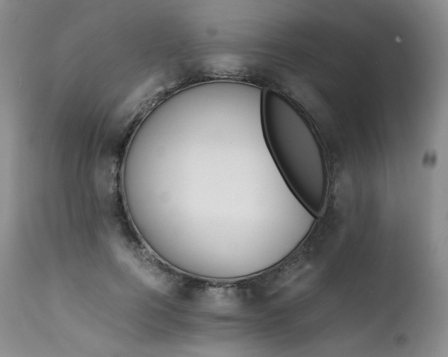 X0000111450744200907131328