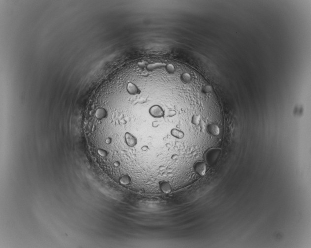 X0000111450745200907131328