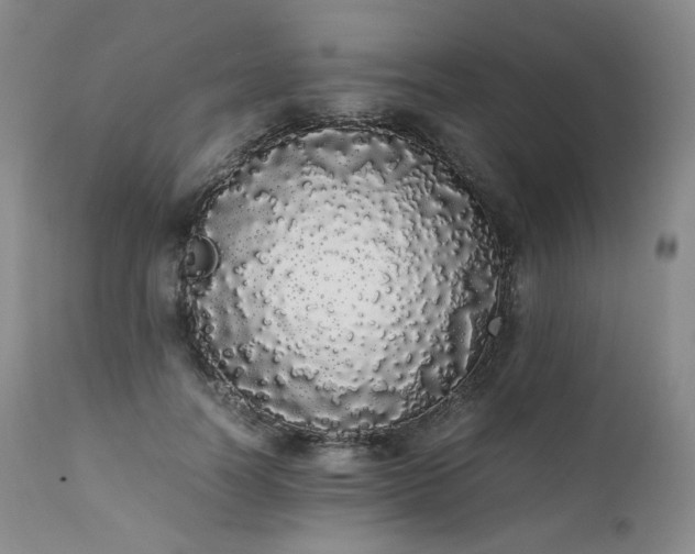 X0000111450746200907131328