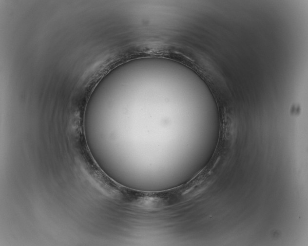 X0000111450748200907131328