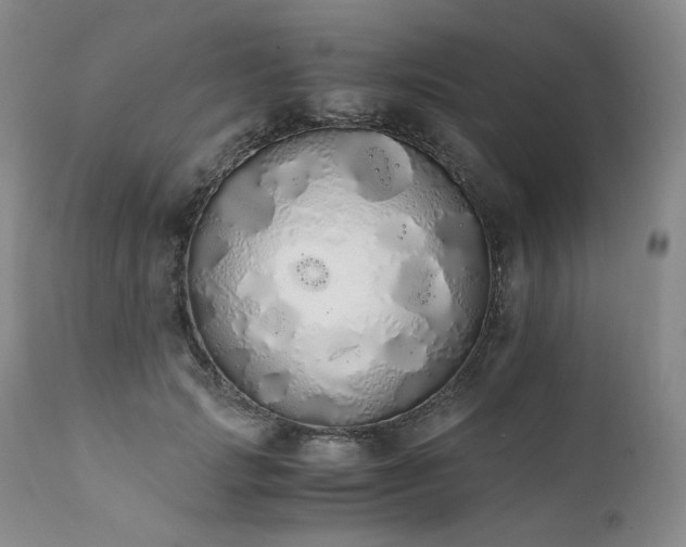 X0000111450749200907131328