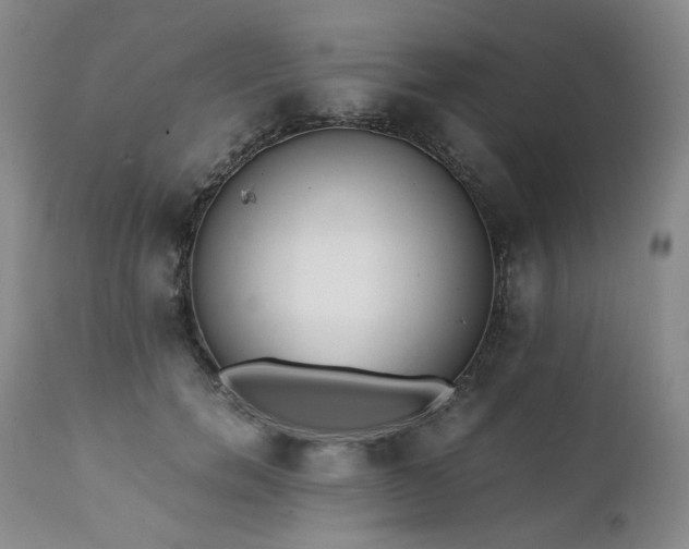 X0000111450750200907131328