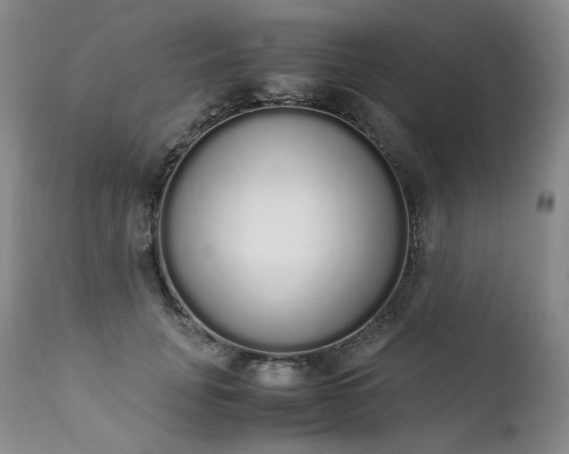 X0000111450751200907131328