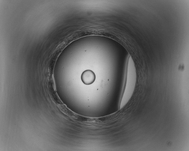 X0000111450752200907131328