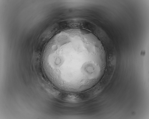 X0000111450753200907131328