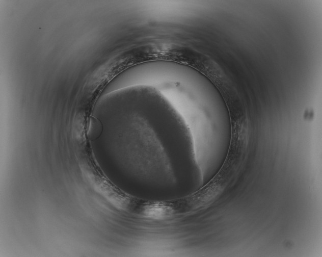 X0000111450754200907131328
