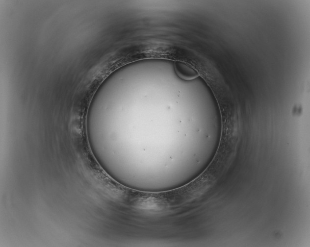 X0000111450755200907131328