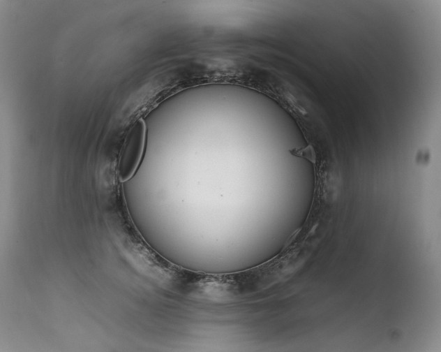 X0000111450756200907131328
