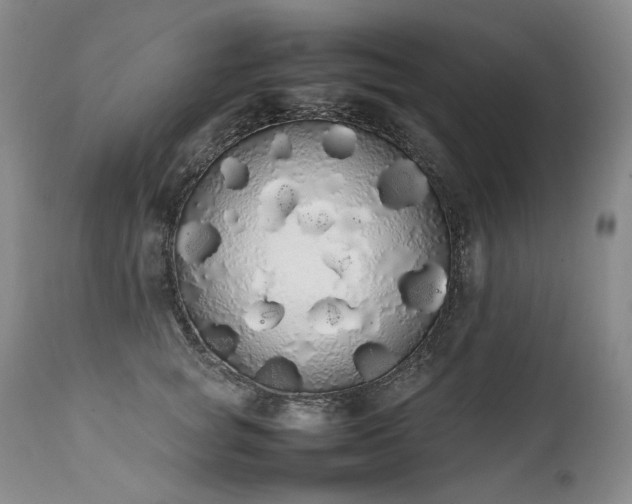 X0000111450757200907131328