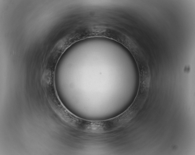 X0000111450758200907131328