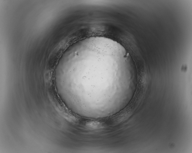 X0000111450759200907131328
