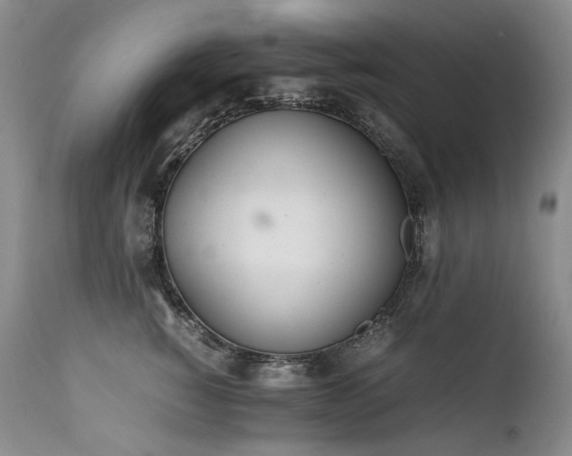 X0000111450760200907131329