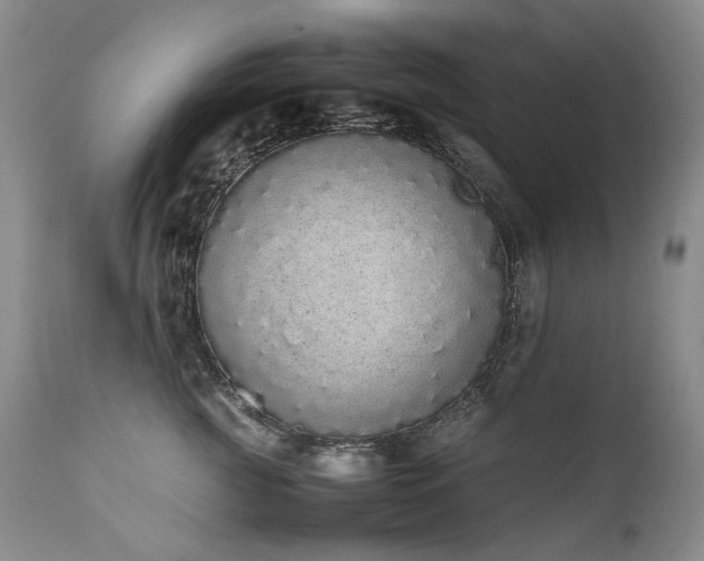 X0000111450761200907131329