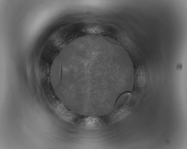 X0000111450762200907131329