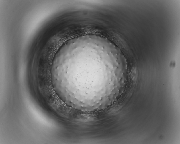 X0000111450763200907131329