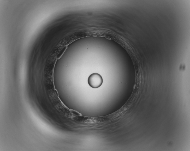 X0000111450764200907131329