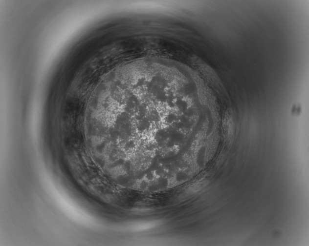 X0000111450765200907131329