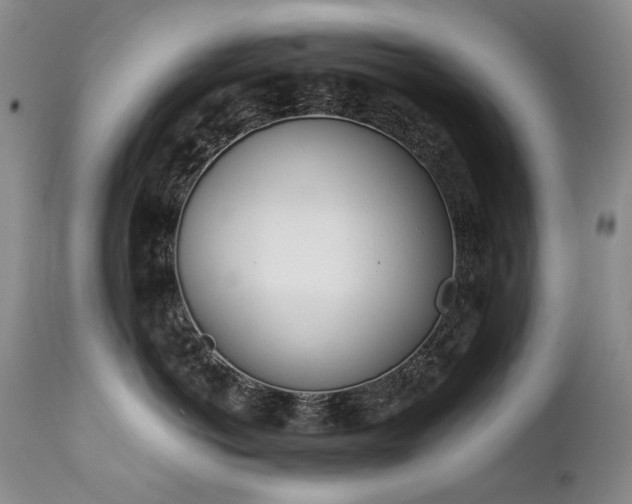 X0000111450766200907131329