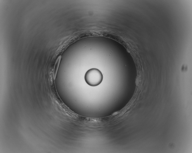 X0000111450768200907131329