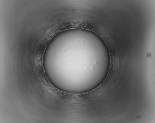 X0000111450770200907131328