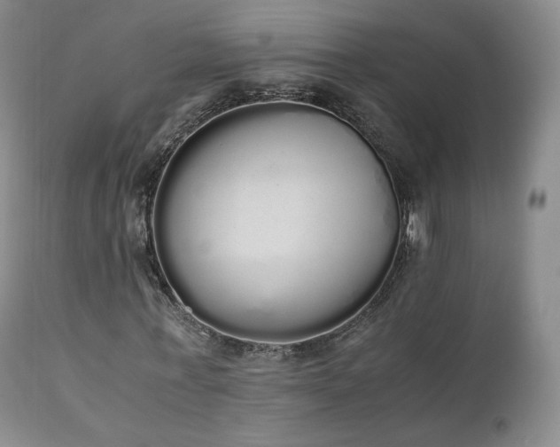 X0000111450771200907131328