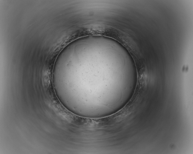 X0000111450772200907131328