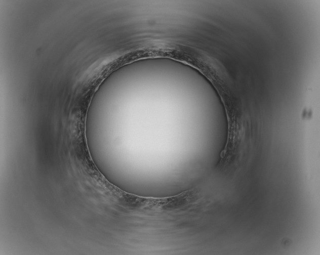 X0000111450773200907131328