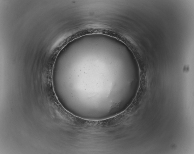 X0000111450775200907131328