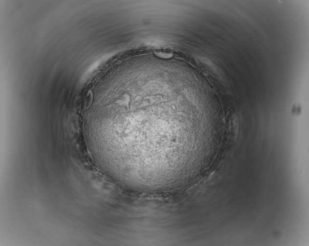 X0000111450776200907131328