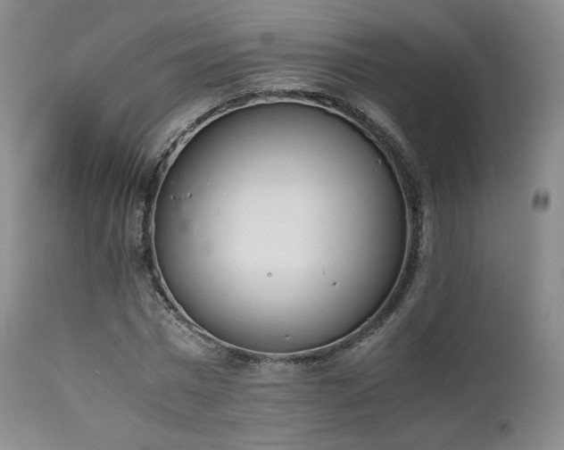 X0000111450777200907131328