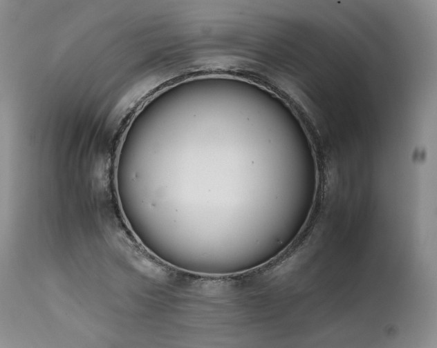 X0000111450778200907131328