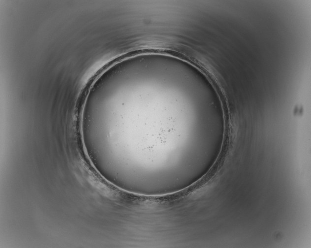 X0000111450779200907131328