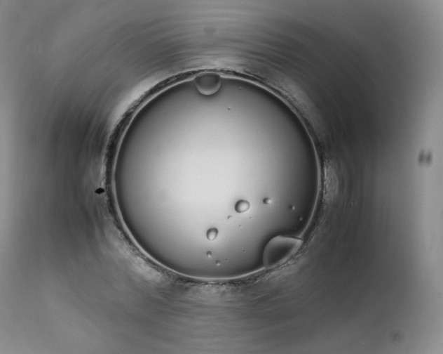 X0000111450780200907131328