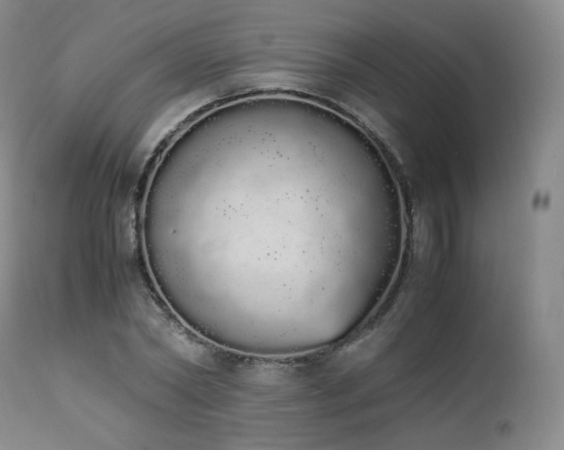 X0000111450782200907131328