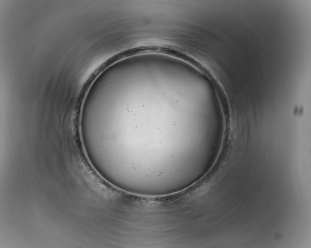 X0000111450783200907131328