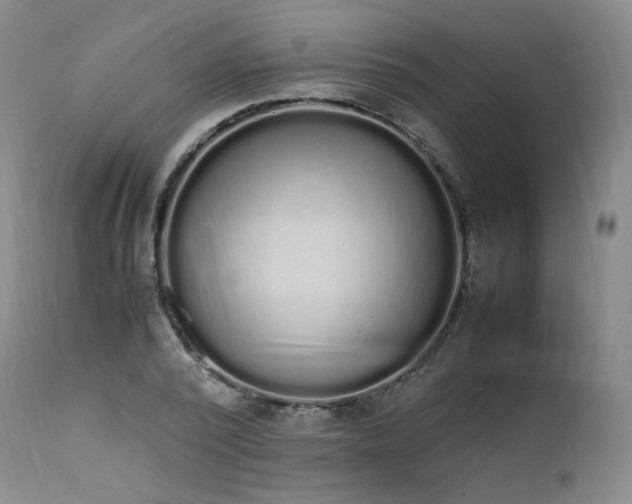 X0000111450784200907131328