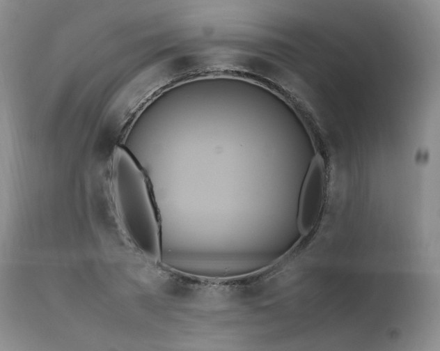 X0000111450785200907131328