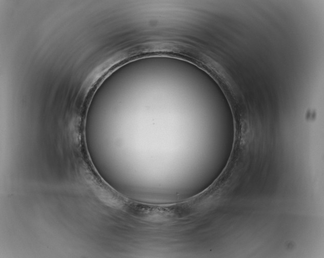 X0000111450786200907131328
