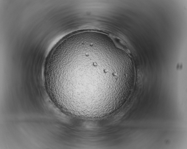 X0000111450788200907131328