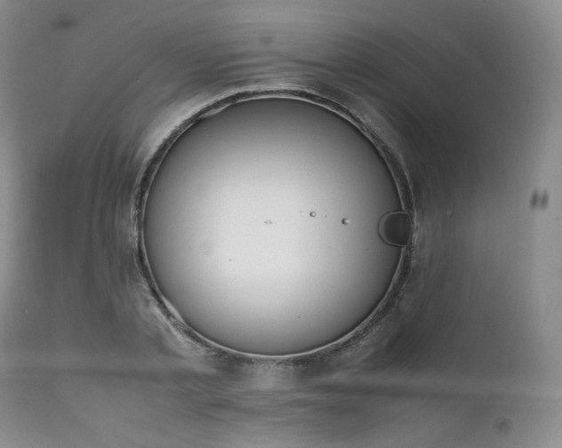 X0000111450789200907131328