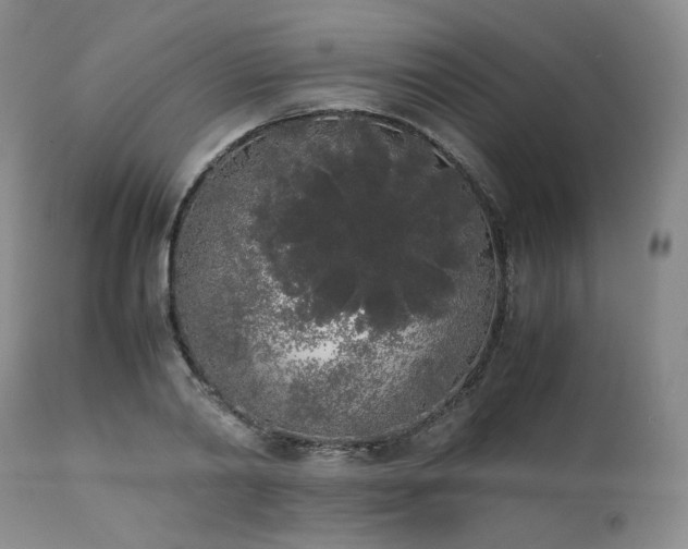 X0000111450790200907131328