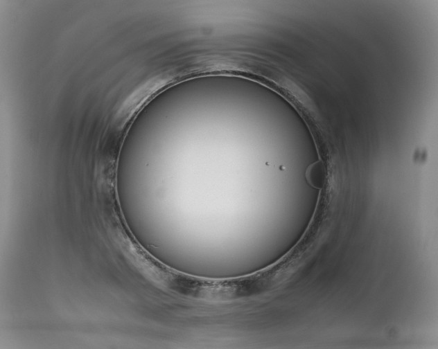 X0000111450793200907131328