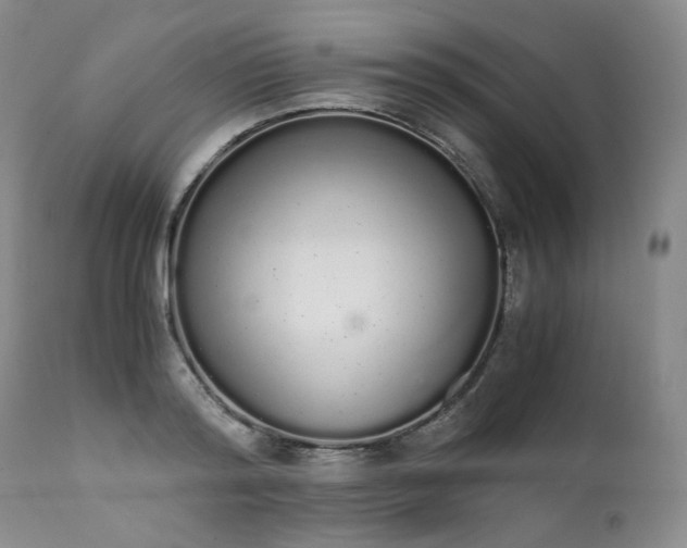 X0000111450796200907131328