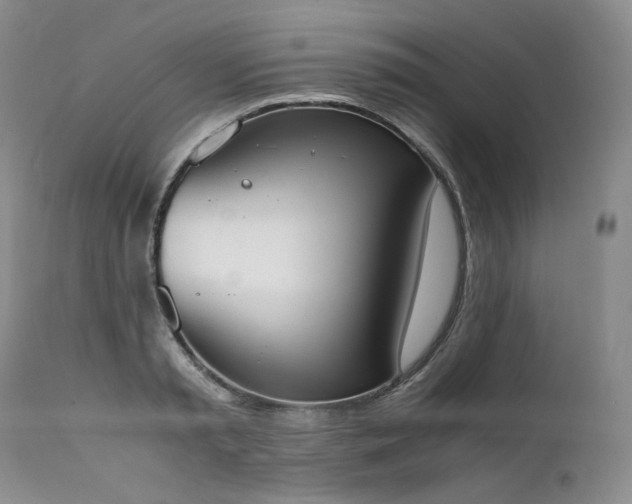 X0000111450797200907131328